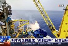 国资委对中央企业“两利四率”指标的考核具体指的是什么?-会计网