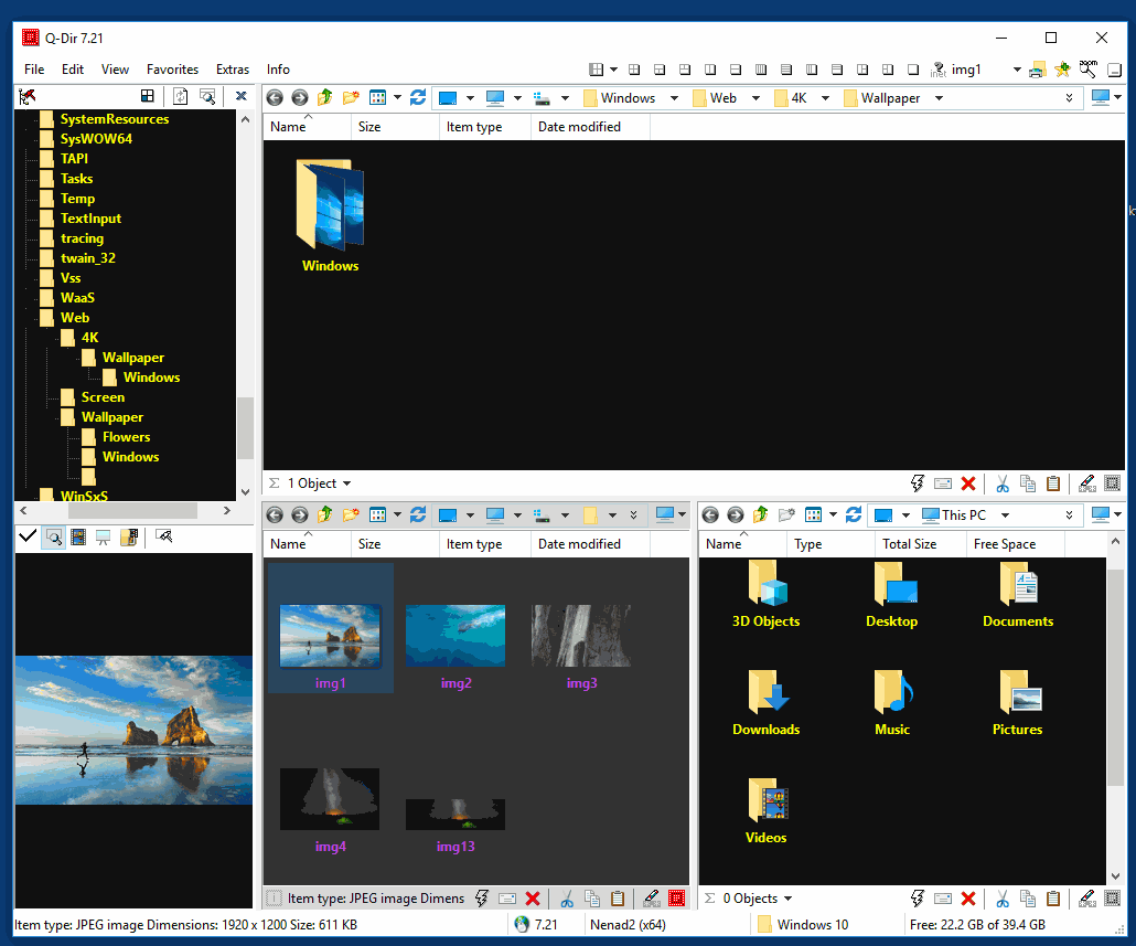 Q-Dir_orange_theme_in_Vista